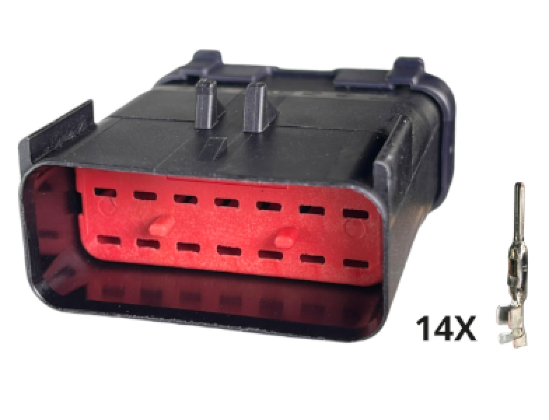 Conector Apex