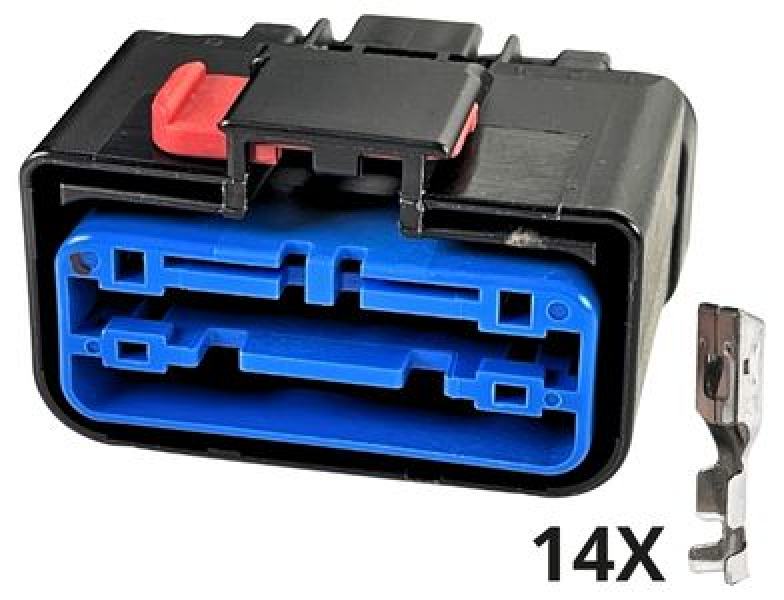 Conector Apex